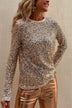 Sequined Mesh Long-Sleeved Slim-Fit Round Neck Top