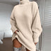 Daily Raglan Sleeves Turtleneck Sweater Dress